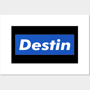 Destin Box Logo Posters and Art